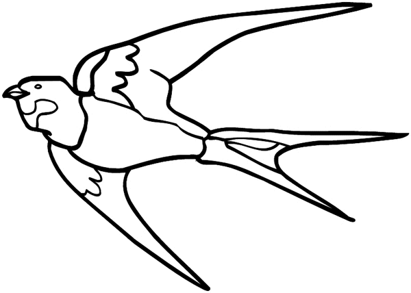 Large flying bird vinyl sticker. Customize on line.       Animals Insects Fish 004-1267  